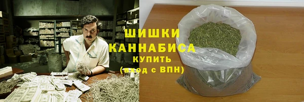 PSILOCYBIN Беломорск