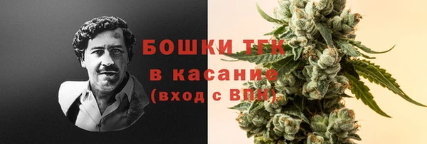 PSILOCYBIN Беломорск