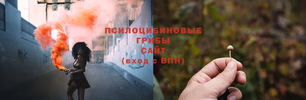 метадон Сафоново