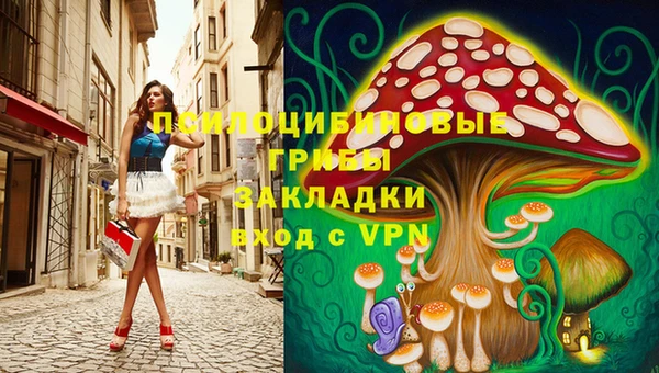 PSILOCYBIN Беломорск