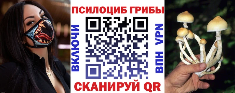 omg зеркало  Мглин  Галлюциногенные грибы Cubensis 
